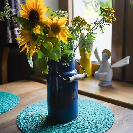 Vila Siedlisko Otulenie