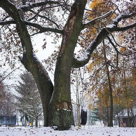 Villa Siedlisko Otulenie Bartoszyce