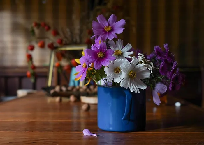 Siedlisko Otulenie *