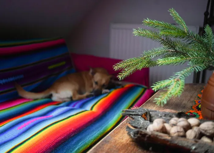 Siedlisko Otulenie Vila *