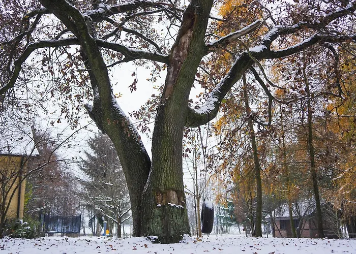 Vila Siedlisko Otulenie Bartoszyce