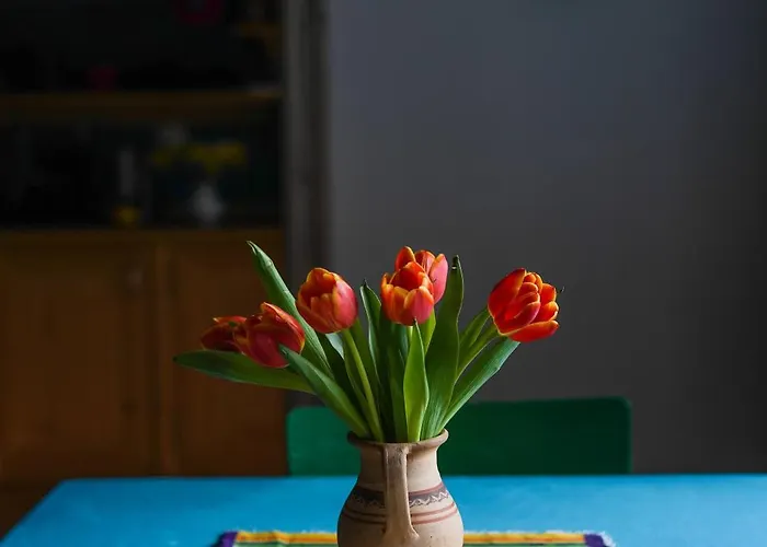 Vila Siedlisko Otulenie *